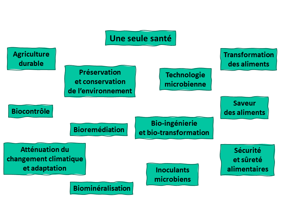 Une seule santé : agriculture durable, préservation et conservation de l'environnement, technologie microbienne, transformationdes aliments, biocontrôle, bioremédiation, bio-ingénierie et bio-transformation, saveur des aliments, atténuation du changement climatique et adaptation, biominéralisation, inoculants microbiens, sécurité et sûreté alimentaires